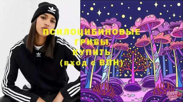 2c-b Медвежьегорск
