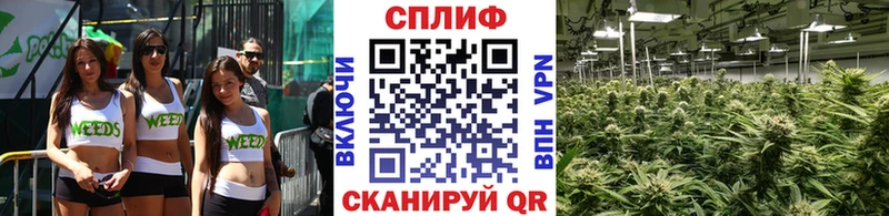 гидра ТОР  Людиново  Бошки Шишки THC 21%  купить  сайты 